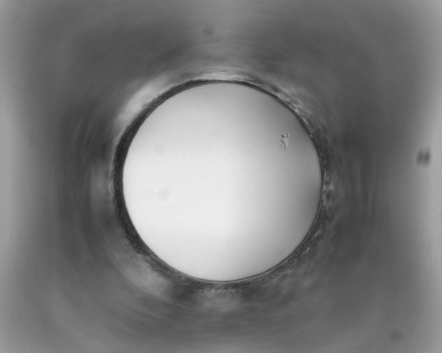X0000090410296200707272055