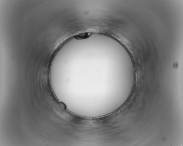 X0000090410297200707272055