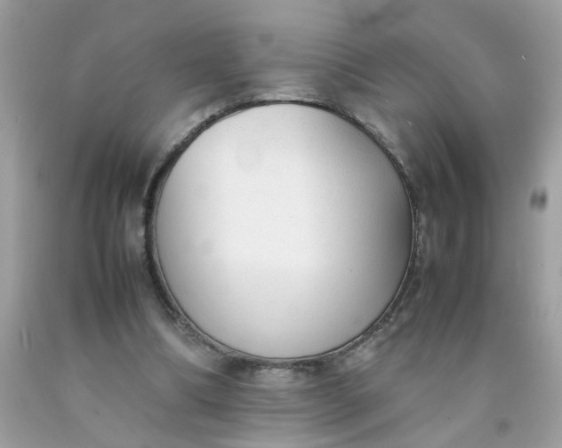 X0000090410298200707272055