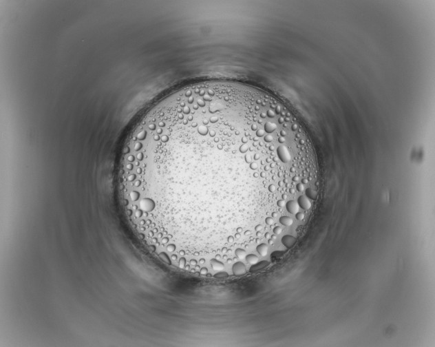 X0000090410299200707272055