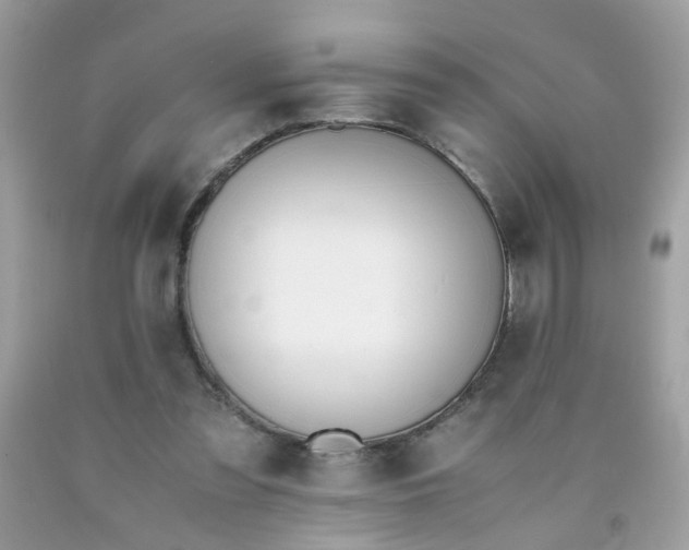 X0000090410301200707272055