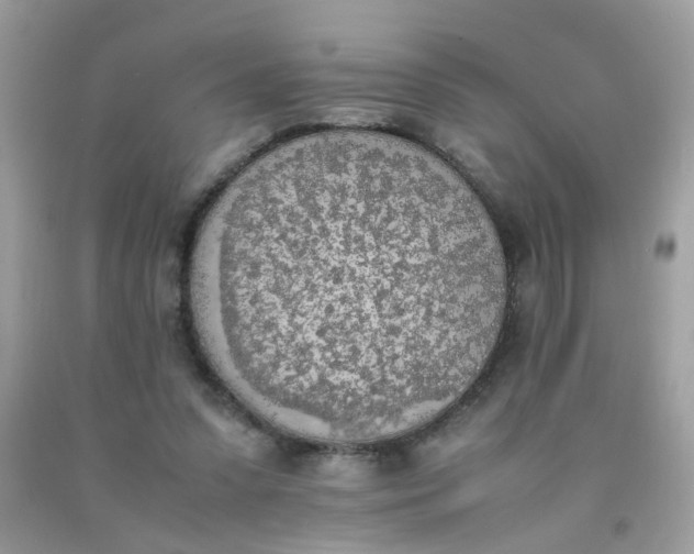 X0000090410303200707272055