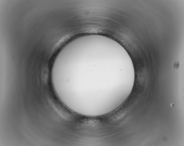 X0000090410304200707272055