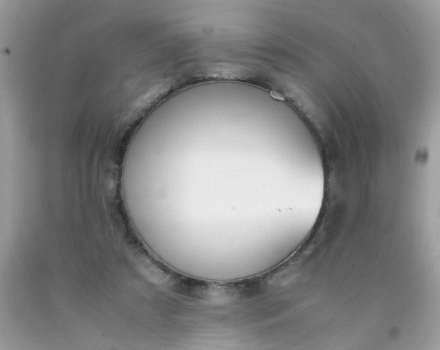 X0000090410305200707272055