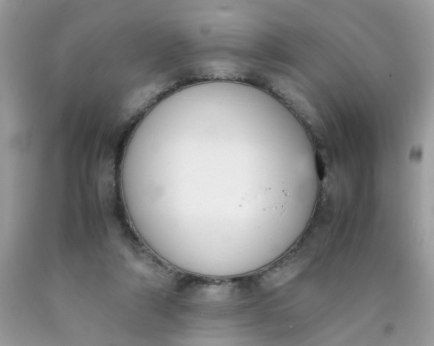 X0000090410306200707272055