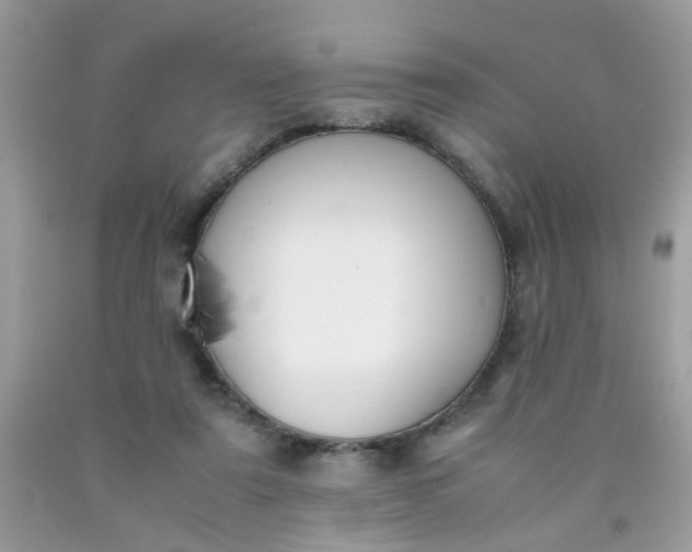 X0000090410307200707272055