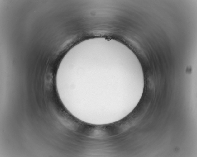 X0000090410308200707272055