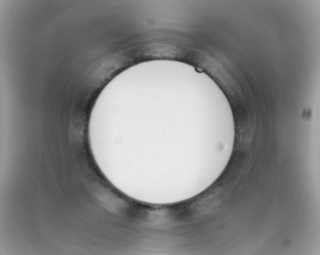 X0000090410309200707272055