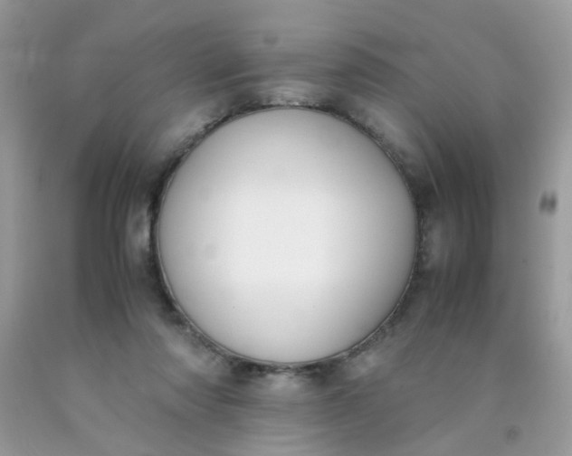 X0000090410310200707272055
