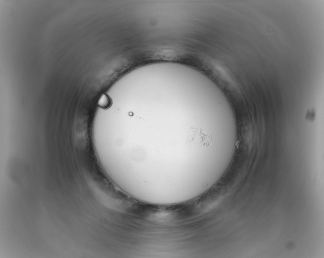 X0000090410312200707272055