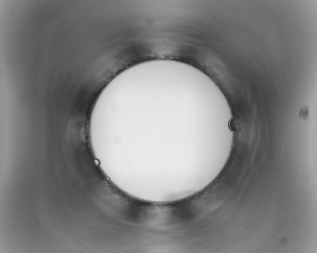 X0000090410313200707272055
