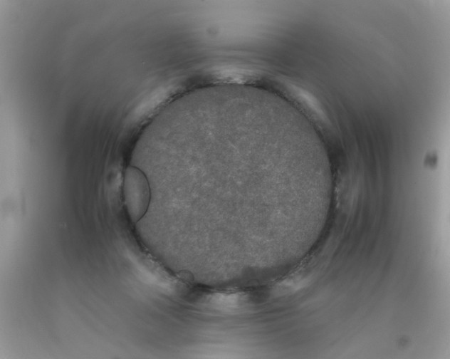 X0000090410314200707272055