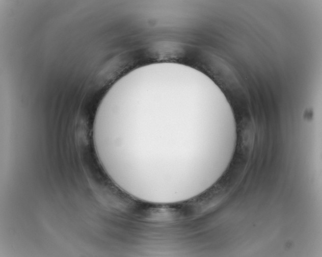 X0000090410316200707272055