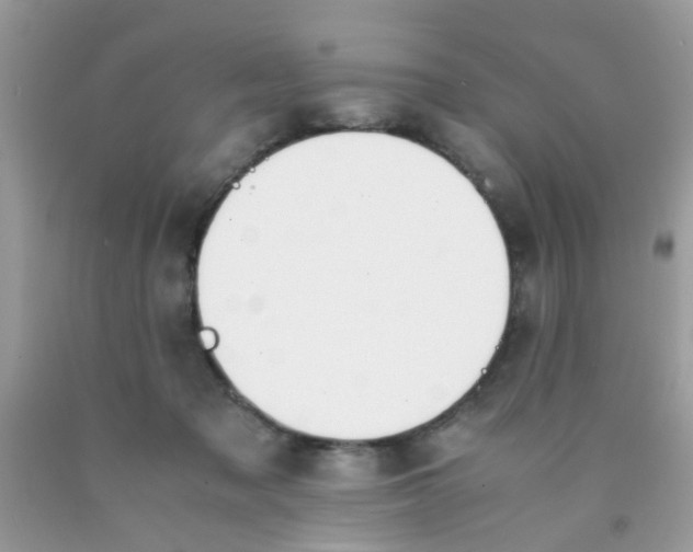 X0000090410317200707272055