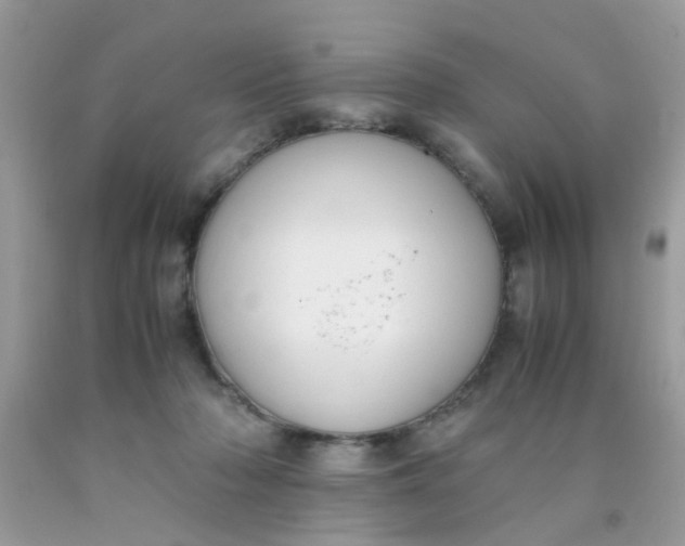 X0000090410318200707272055