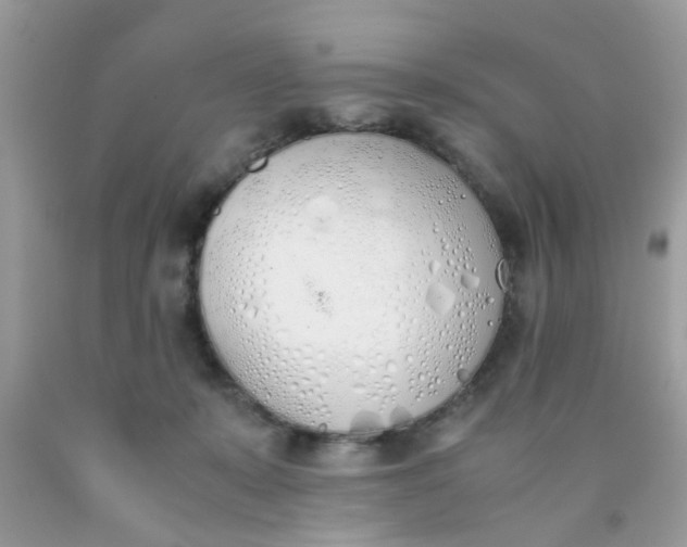 X0000090410319200707272055