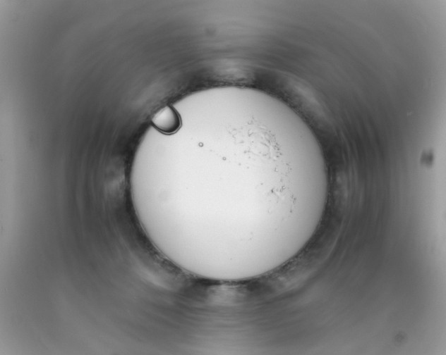 X0000090410320200707272055