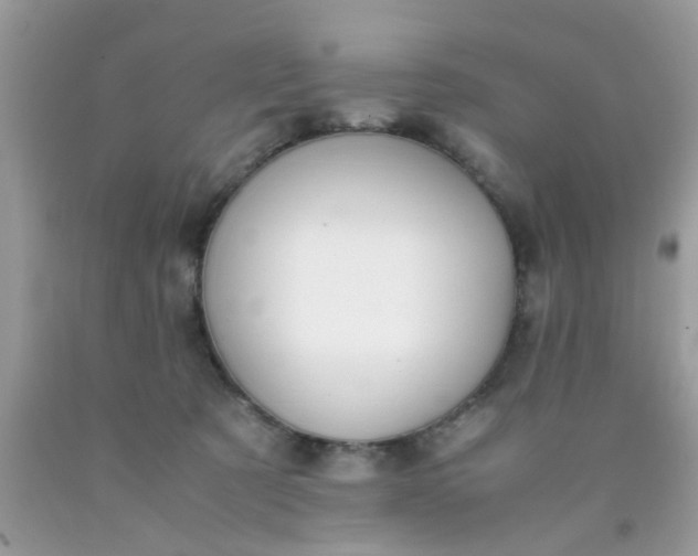 X0000090410321200707272055