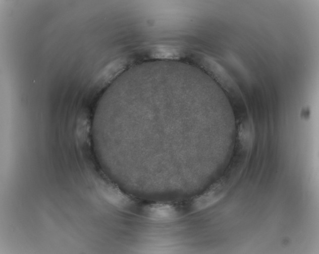 X0000090410322200707272055