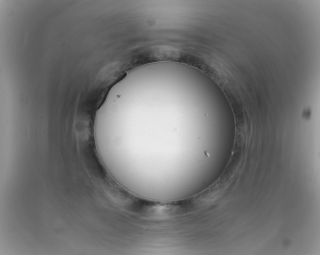 X0000090410323200707272055