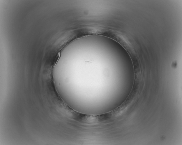 X0000090410325200707272055