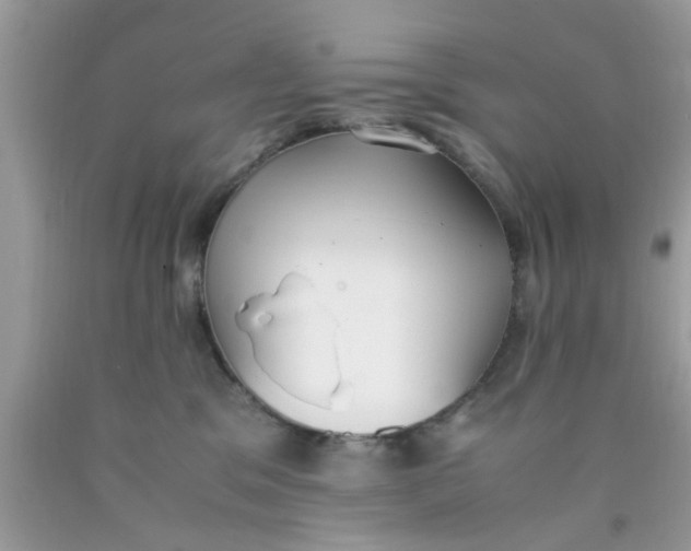 X0000090410329200707272055