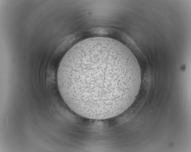 X0000090410330200707272055