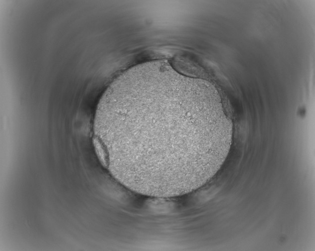 X0000090410331200707272055