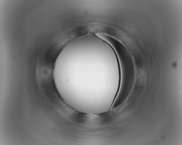 X0000090410333200707272054