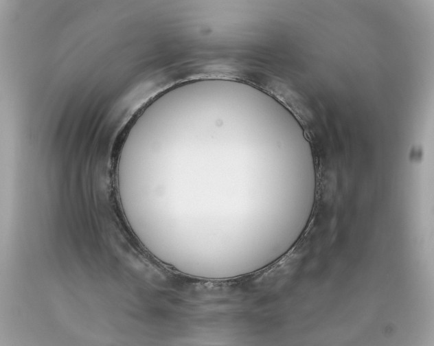 X0000090410338200707272054