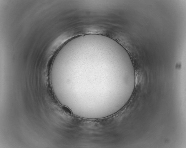 X0000090410339200707272054