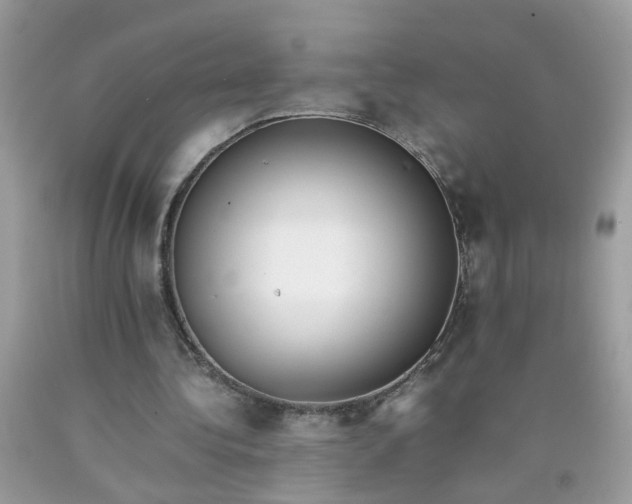 X0000090410340200707272054