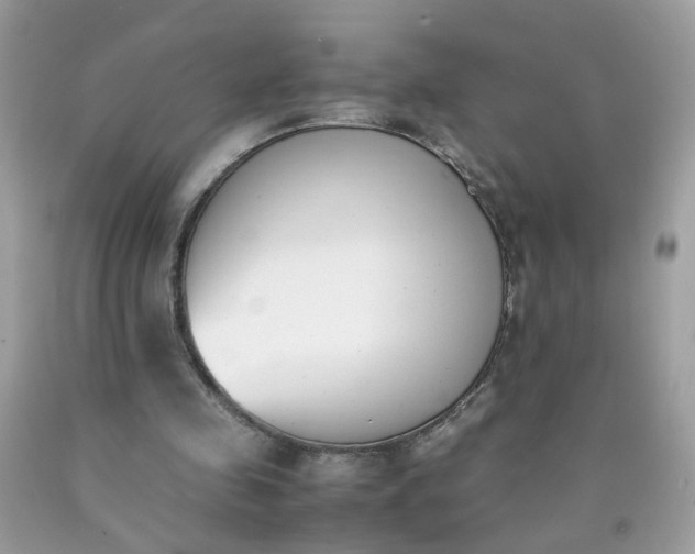 X0000090410341200707272054
