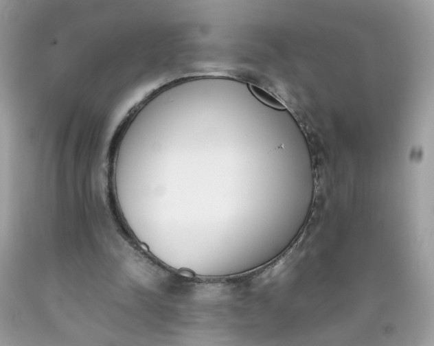 X0000090410342200707272054