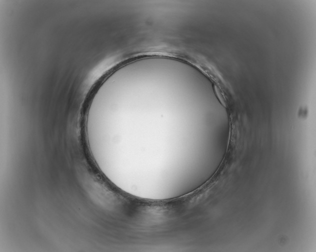 X0000090410344200707272054