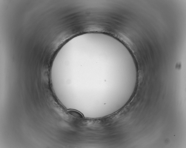 X0000090410345200707272054