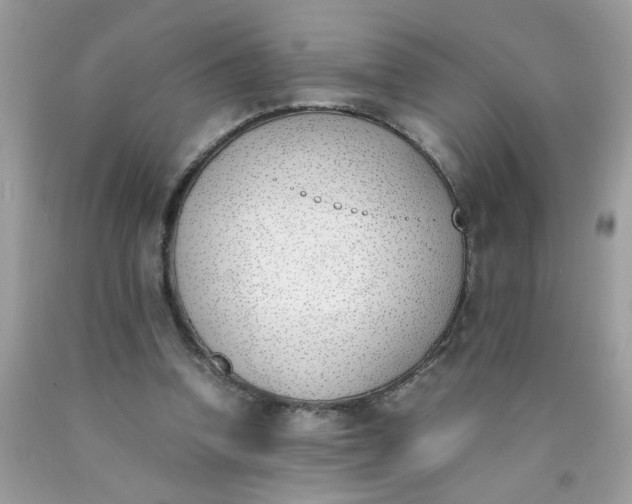 X0000090410346200707272054