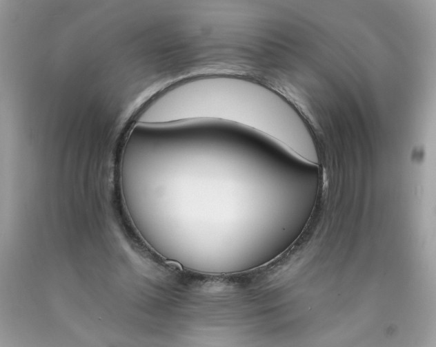 X0000090410348200707272054