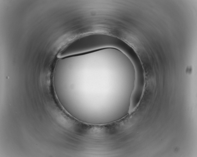 X0000090410350200707272054