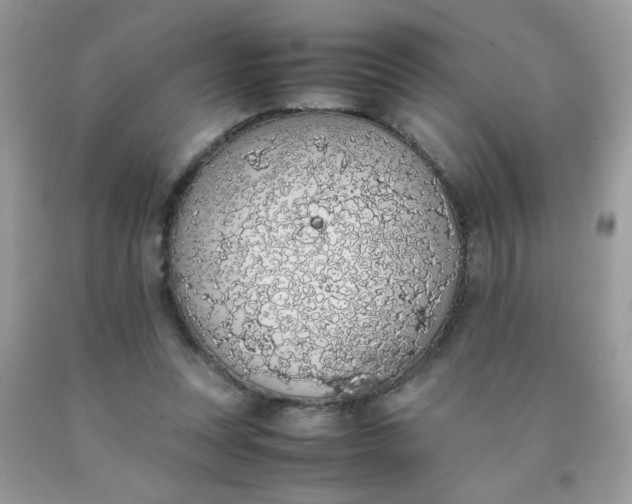 X0000090410351200707272054