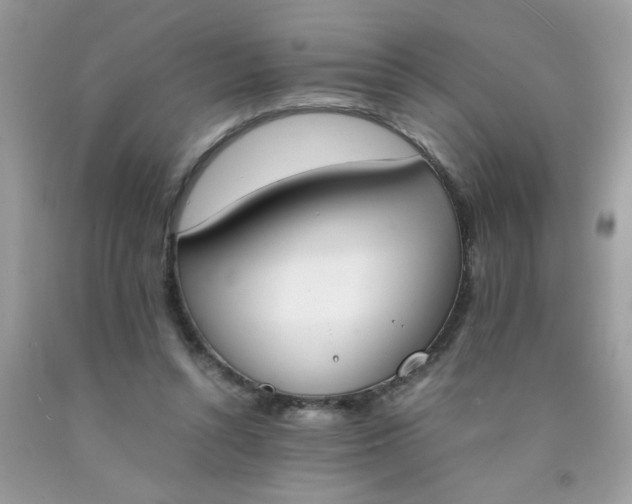 X0000090410352200707272054