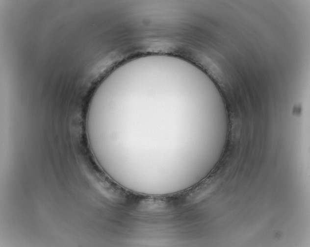 X0000090410354200707272054