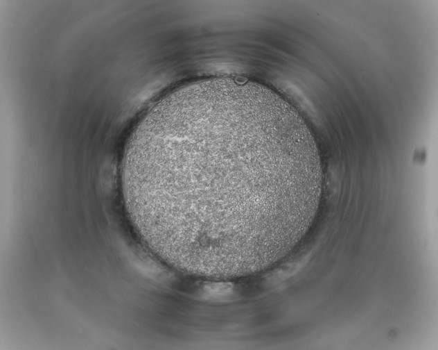 X0000090410355200707272054