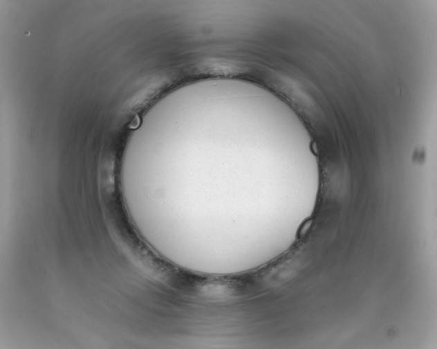 X0000090410358200707272054