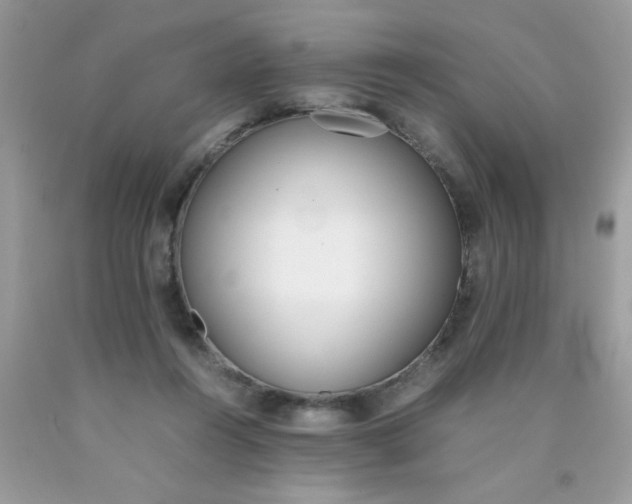 X0000090410360200707272054