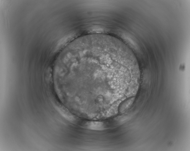 X0000090410361200707272054