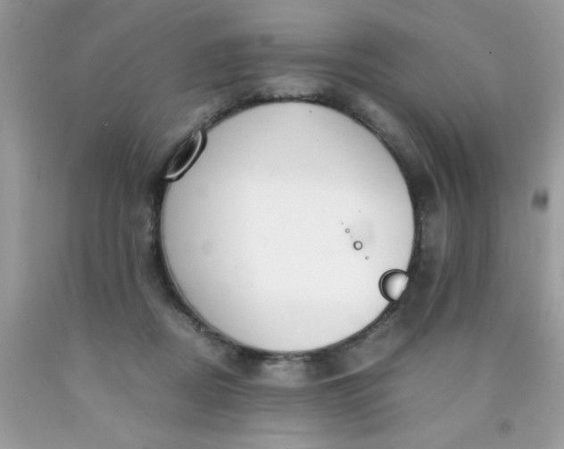 X0000090410362200707272054