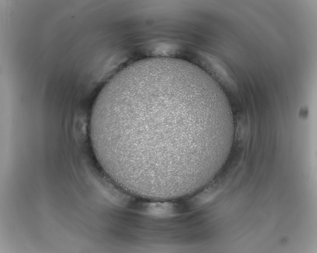 X0000090410363200707272054