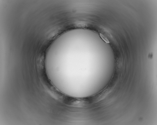 X0000090410364200707272054