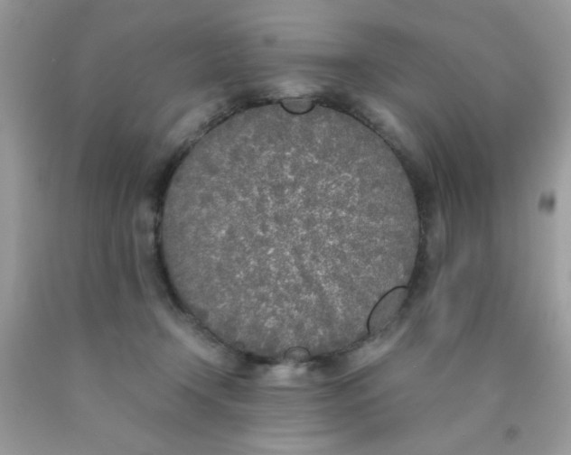 X0000090410366200707272054
